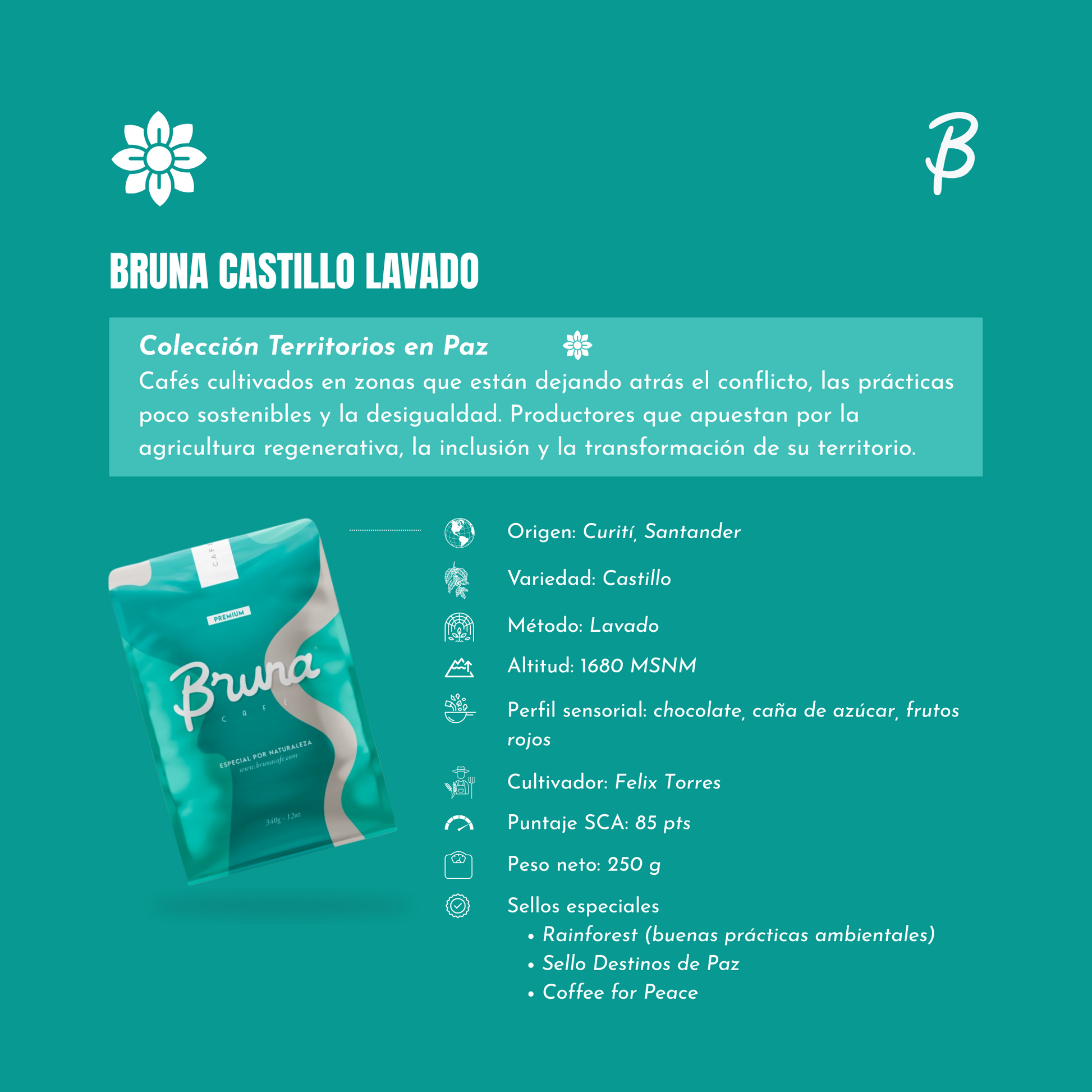 Café de especialidad 100% colombiano - Bruna Castillo Lavado